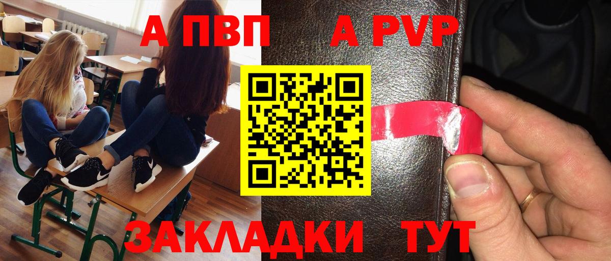 Альфа ПВП СК Мурманск